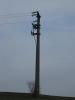 Bestandsnaam : 150209ettelbruck3.jpg
Bestandsgrootte : 25KB
Afmetingen : 441x588
Datum toegevoegd : 07 mrt 2009 150209ettelbruck3.jpg