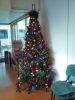 Filename=2011-12-13-11_10_49.jpg
Filesize=109KB
Dimensions=550x733
Date added=Dec 15, 2011 2011-12-13-11_10_49.jpg