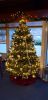 Filename=20191209_154922.jpg
Filesize=120KB
Dimensions=550x1131
Date added=Dec 27, 2019 20191209_154922.jpg