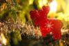 Filename=20201216.jpg
Filesize=48KB
Dimensions=550x367
Date added=Dec 23, 2020 20201216.jpg