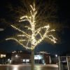 Filename=20221209_191844.jpg
Filesize=51KB
Dimensions=550x550
Date added=Dec 11, 2022 20221209_191844.jpg