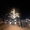 Filename=20221209_191850.jpg
Filesize=28KB
Dimensions=550x550
Date added=Dec 11, 2022 20221209_191850.jpg