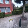 Filename=20230917_185608.jpg
Filesize=75KB
Dimensions=550x550
Date added=Oct 07, 2023 20230917_185608.jpg