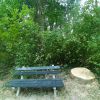 Filename=20230928_184201.jpg
Filesize=103KB
Dimensions=550x550
Date added=Oct 07, 2023 20230928_184201.jpg