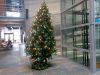 Filename=204562489~0.jpg
Filesize=73KB
Dimensions=550x413
Date added=Dec 23, 2010 204562489~0.jpg