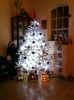 Filename=212494305dennis.jpg
Filesize=83KB
Dimensions=550x737
Date added=Dec 23, 2010 212494305dennis.jpg