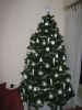 Filename=213064426.jpg
Filesize=78KB
Dimensions=550x733
Date added=Dec 23, 2010 213064426.jpg