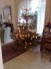 25122008206lieneke.jpg