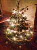 Filename=2_4.jpg
Filesize=79KB
Dimensions=550x733
Date added=Dec 25, 2013 2_4.jpg