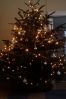 Filename=51233604gerben~0.jpg
Filesize=90KB
Dimensions=550x822
Date added=Dec 22, 2010 51233604gerben~0.jpg
