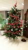 Filename=7~2.jpg
Filesize=100KB
Dimensions=550x978
Date added=Dec 31, 2016 7~2.jpg