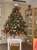 Filename=afbeelding_087.jpg
Filesize=138KB
Dimensions=550x733
Date added=Dec 23, 2010 afbeelding_087.jpg