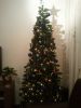 Filename=aiad.jpg
Filesize=59KB
Dimensions=550x733
Date added=Dec 27, 2010 aiad.jpg