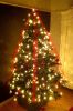 Filename=armand.jpg
Filesize=94KB
Dimensions=550x825
Date added=Feb 02, 2013 armand.jpg