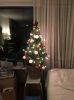 Filename=bart~4.jpg
Filesize=52KB
Dimensions=550x734
Date added=Dec 30, 2016 bart~4.jpg