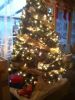 Filename=ben.jpg
Filesize=26KB
Dimensions=240x320
Date added=Dec 21, 2011 ben.jpg