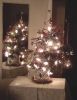 Filename=bertie~0.jpg
Filesize=48KB
Dimensions=385x496
Date added=Dec 25, 2011 bertie~0.jpg