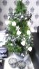 Filename=bouwina~0.jpg
Filesize=122KB
Dimensions=550x978
Date added=Jan 06, 2013 bouwina~0.jpg
