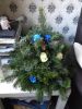 Filename=bouwina~2.jpg
Filesize=82KB
Dimensions=550x733
Date added=Dec 23, 2016 bouwina~2.jpg