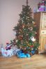 Filename=chris~0.jpg
Filesize=55KB
Dimensions=360x540
Date added=Dec 21, 2010 chris~0.jpg