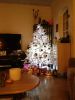 Filename=dennis~0.jpg
Filesize=76KB
Dimensions=550x733
Date added=Jan 25, 2012 dennis~0.jpg