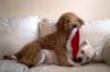 Filename=dierenbos.jpg
Filesize=37KB
Dimensions=550x367
Date added=Dec 26, 2011 dierenbos.jpg