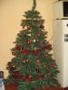 Filename=dsc00016.jpg
Filesize=132KB
Dimensions=550x733
Date added=Jan 05, 2011 dsc00016.jpg