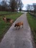 dsc00038.jpg