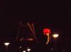 Filename=dscn0049~0.jpg
Filesize=19KB
Dimensions=550x412
Date added=Dec 06, 2016 dscn0049~0.jpg