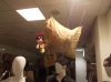 Filename=dscn0172~0.jpg
Filesize=26KB
Dimensions=550x412
Date added=Mar 11, 2017 dscn0172~0.jpg