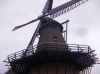 Filename=dscn0194.jpg
Filesize=31KB
Dimensions=550x412
Date added=Dec 06, 2016 dscn0194.jpg