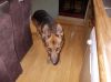 dscn0425.jpg