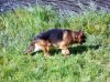 Filename=dscn0491~0.jpg
Filesize=92KB
Dimensions=550x412
Date added=Nov 12, 2016 dscn0491~0.jpg