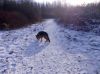 Filename=dscn0546.jpg
Filesize=55KB
Dimensions=550x412
Date added=Jan 06, 2018 dscn0546.jpg
