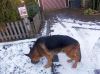 Filename=dscn0562~0.jpg
Filesize=53KB
Dimensions=550x412
Date added=Dec 10, 2017 dscn0562~0.jpg