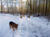 Filename=dscn0571.jpg
Filesize=56KB
Dimensions=550x412
Date added=Dec 10, 2017 dscn0571.jpg