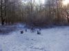 Filename=dscn0572~0.jpg
Filesize=55KB
Dimensions=550x412
Date added=Dec 01, 2018 dscn0572~0.jpg