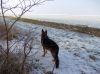 Filename=dscn0579.jpg
Filesize=58KB
Dimensions=550x412
Date added=Dec 10, 2017 dscn0579.jpg