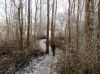 Filename=dscn0580.jpg
Filesize=81KB
Dimensions=550x412
Date added=Dec 10, 2017 dscn0580.jpg