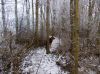Filename=dscn0583.jpg
Filesize=86KB
Dimensions=550x412
Date added=Dec 09, 2017 dscn0583.jpg