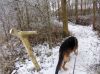 Filename=dscn0584~0.jpg
Filesize=79KB
Dimensions=550x412
Date added=Dec 10, 2017 dscn0584~0.jpg
