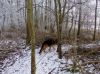 Filename=dscn0585~0.jpg
Filesize=84KB
Dimensions=550x412
Date added=Dec 10, 2017 dscn0585~0.jpg
