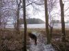 Filename=dscn0586.jpg
Filesize=74KB
Dimensions=550x412
Date added=Dec 09, 2017 dscn0586.jpg