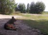 dscn1458.jpg