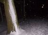 dscn2659.jpg