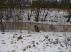 Filename=dscn2823~0.jpg
Filesize=116KB
Dimensions=550x412
Date added=Feb 02, 2019 dscn2823~0.jpg
