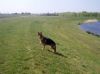 Filename=dscn5341.jpg
Filesize=117KB
Dimensions=550x412
Date added=May 17, 2014 dscn5341.jpg