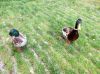 dscn5502.jpg