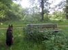 Filename=dscn5512.jpg
Filesize=135KB
Dimensions=550x412
Date added=Jul 20, 2014 dscn5512.jpg