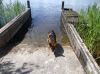 Filename=dscn5515.jpg
Filesize=140KB
Dimensions=550x412
Date added=Jul 20, 2014 dscn5515.jpg